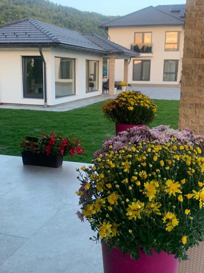Vila Diamond Lux&Spa Sovata Exterior foto